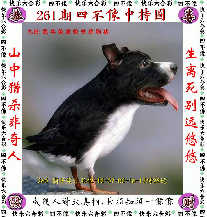 四不像 第261期