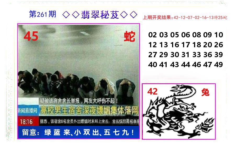 翡翠秘芨 第261期