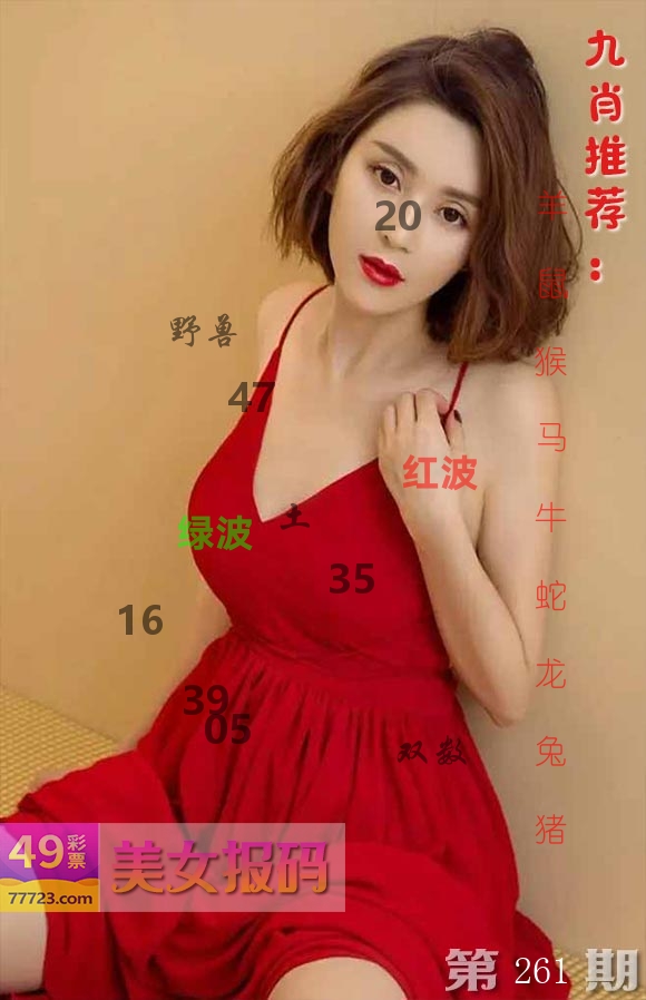 美女报码 第261期