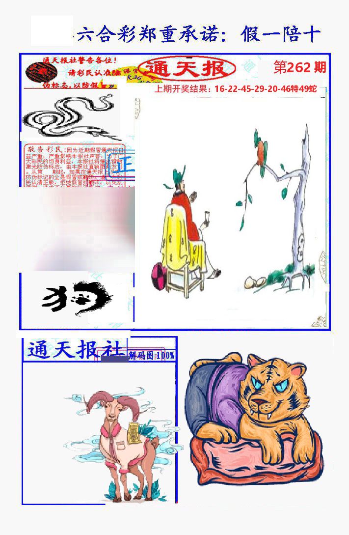 通天报 第262期