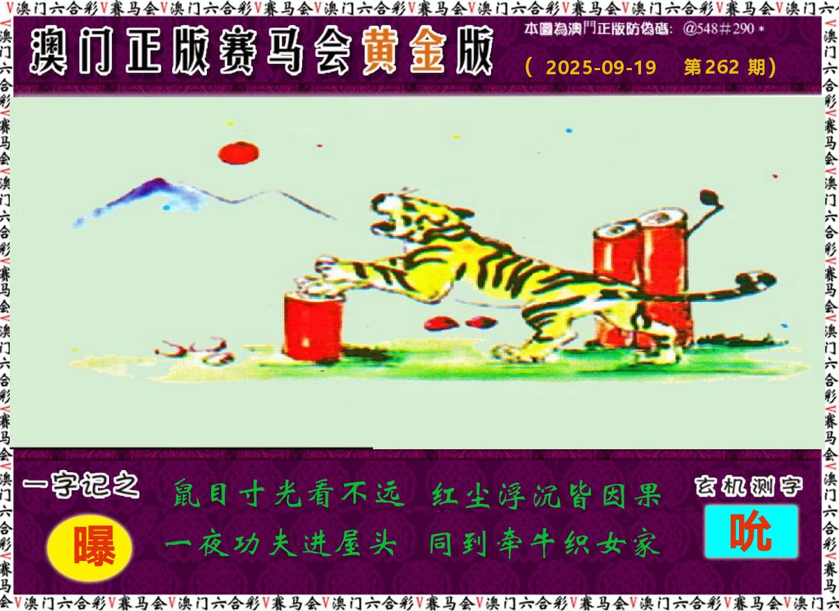 赛马会黄金版 第262期
