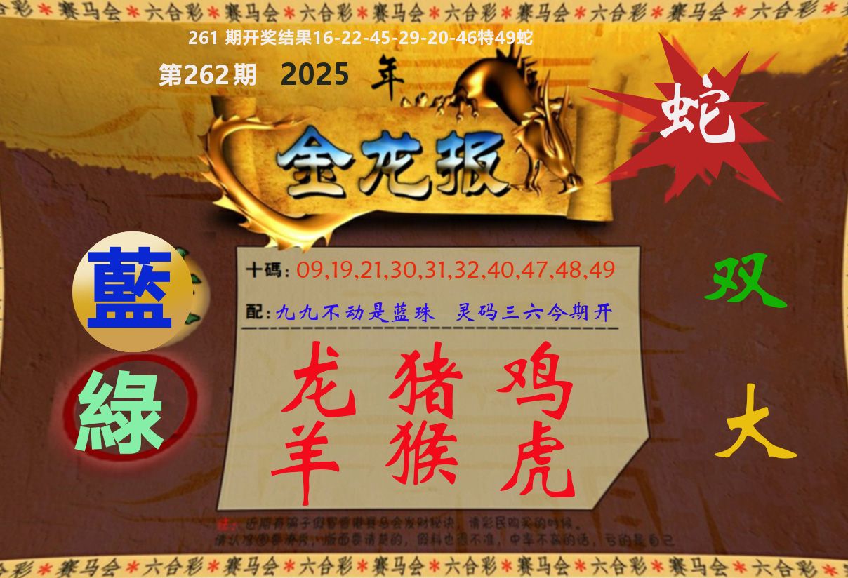 金龙报 第262期