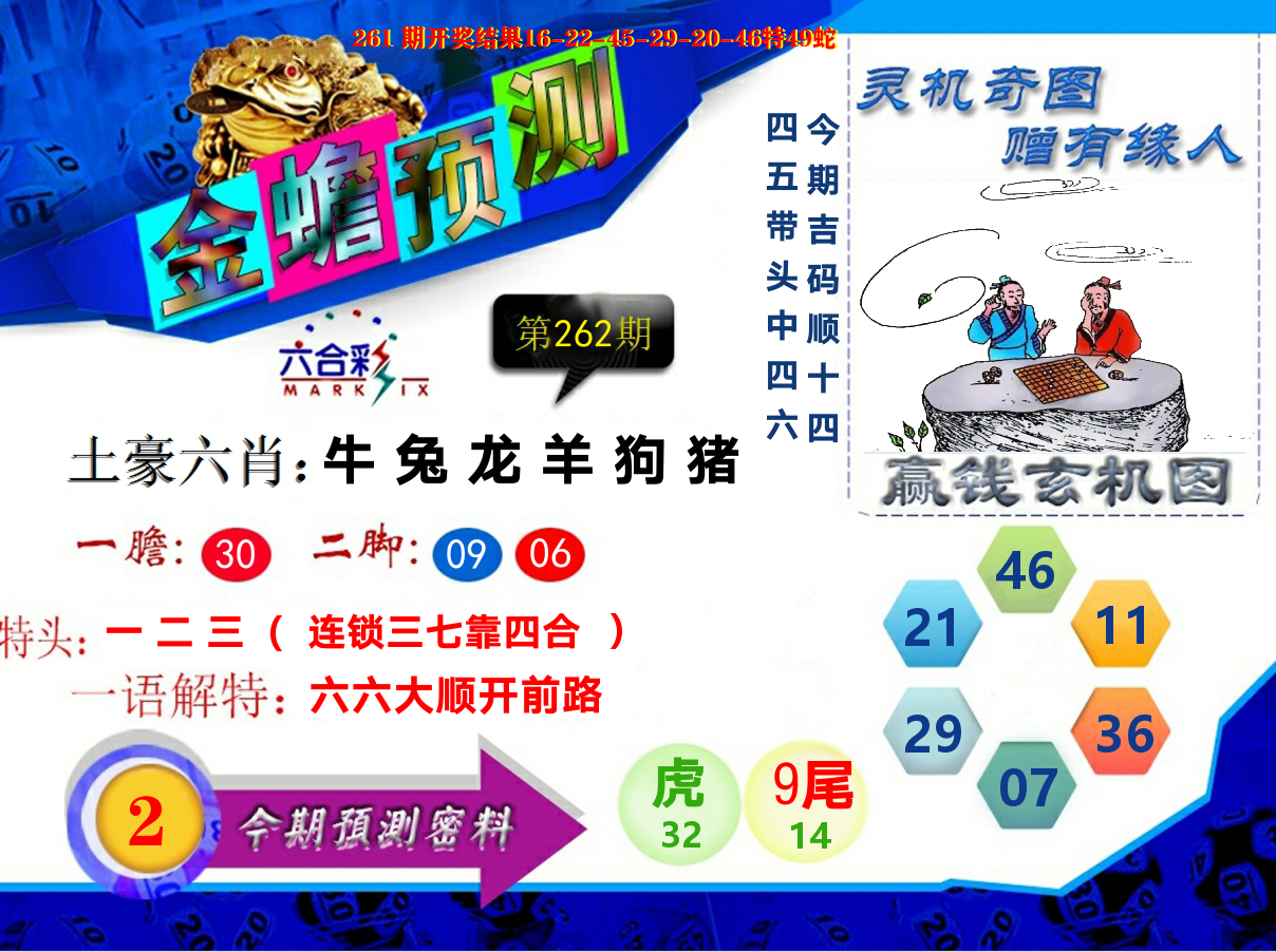 金蟾预测 第262期