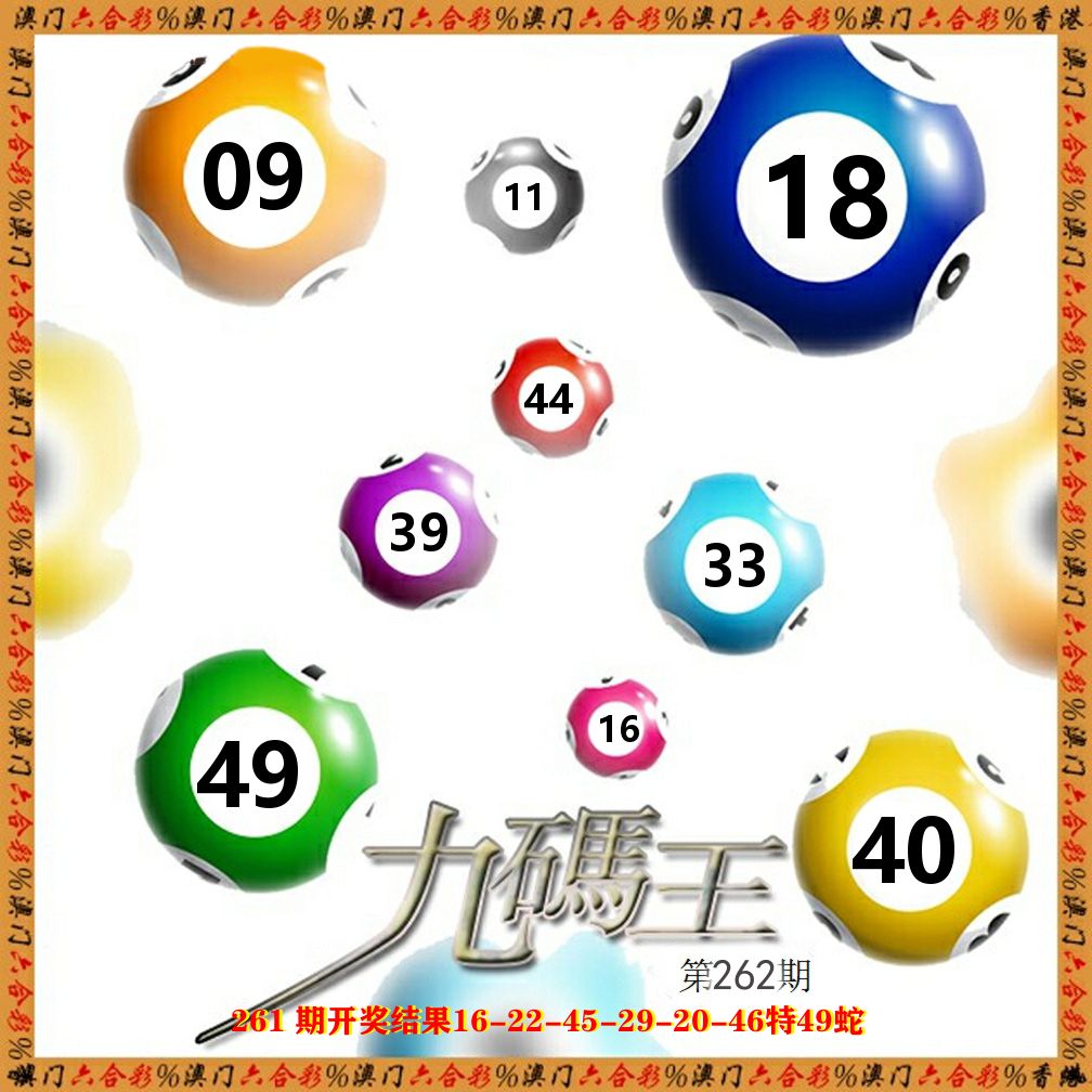 九码王 第262期