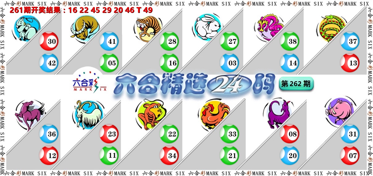 六合精选24码 第262期