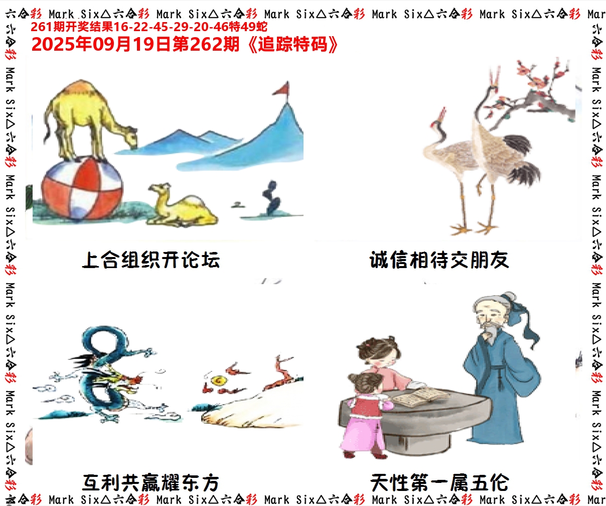 追踪特码 第262期