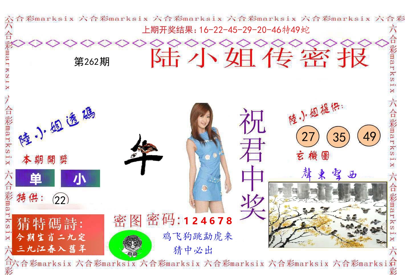 陆小姐密报 第262期