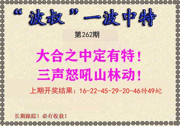 波叔中特 第262期