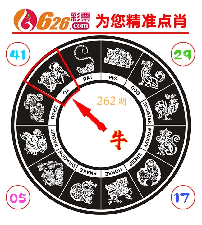 精准点肖 第262期