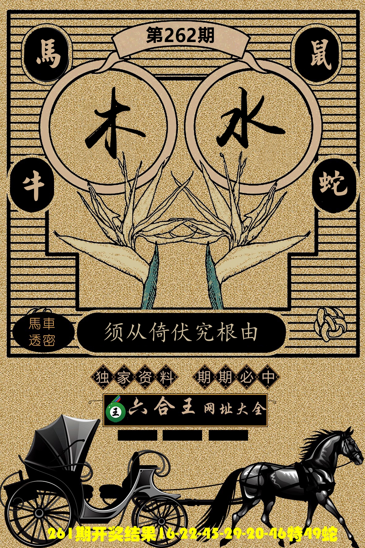 六合王马车透密 第262期