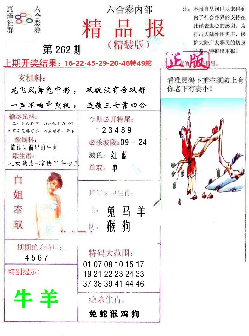 精品报 第262期