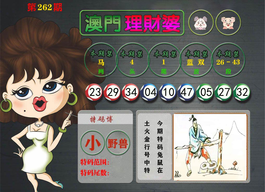 理财婆 第262期