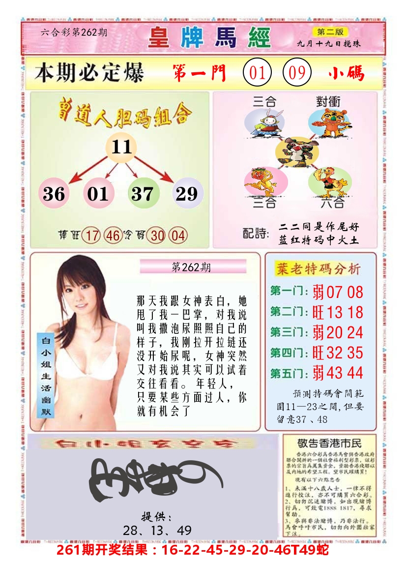澳门皇牌马经B 第262期