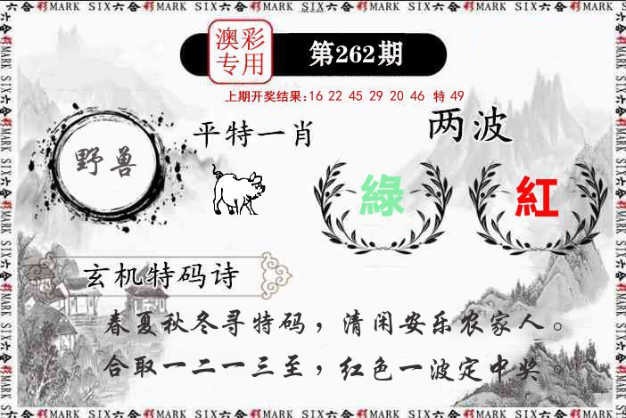澳门专用 第262期