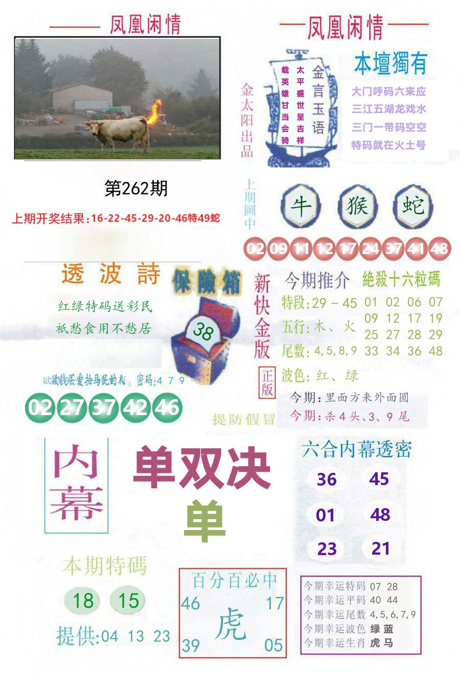 凤凰闲情 第262期