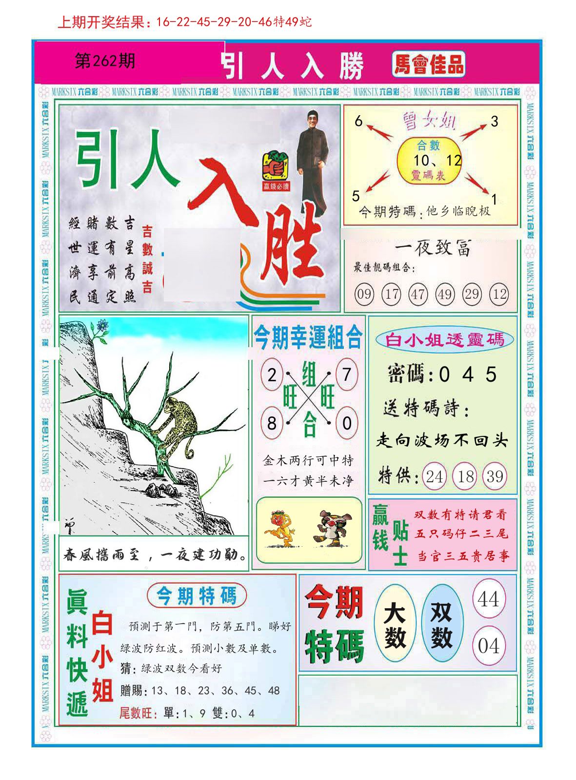 引人入胜 第262期