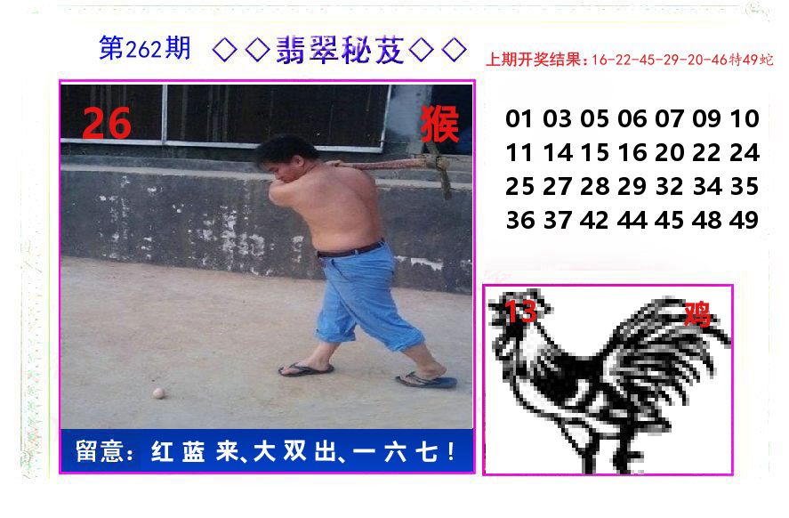 翡翠秘芨 第262期