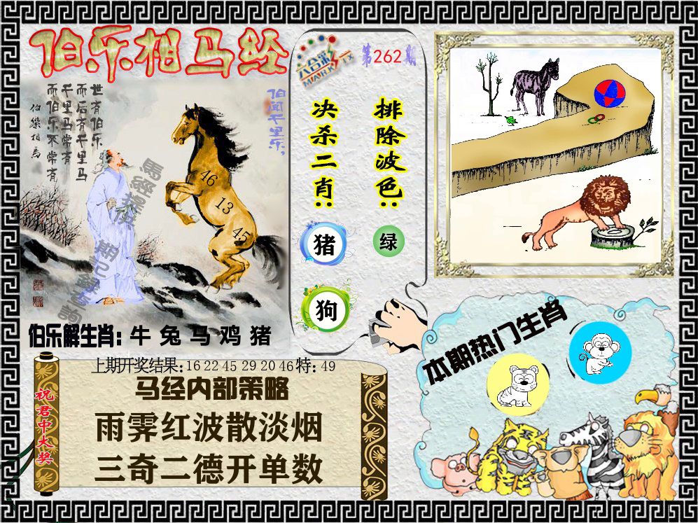 伯乐相马经 第262期