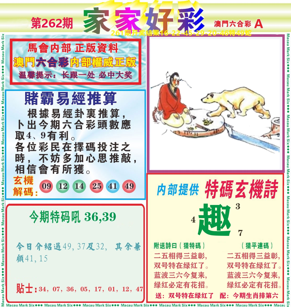 家家好彩A 第262期