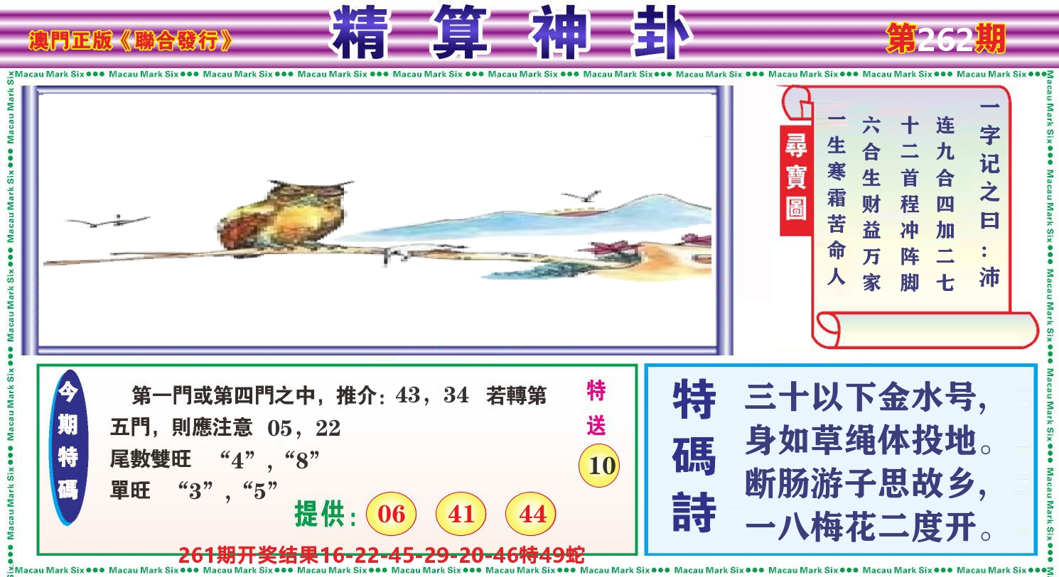 粤彩联盟F 第262期