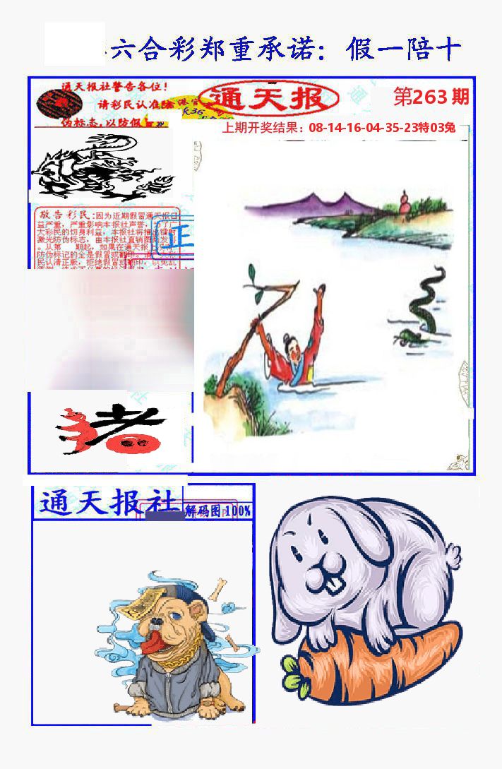 通天报 第263期