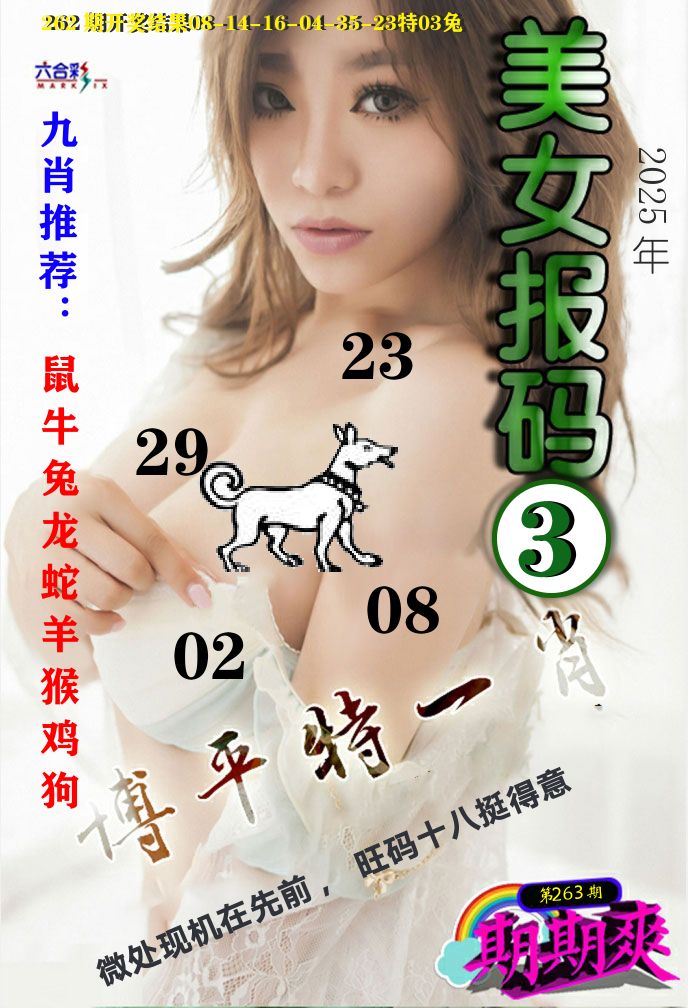 美女码报3 第263期
