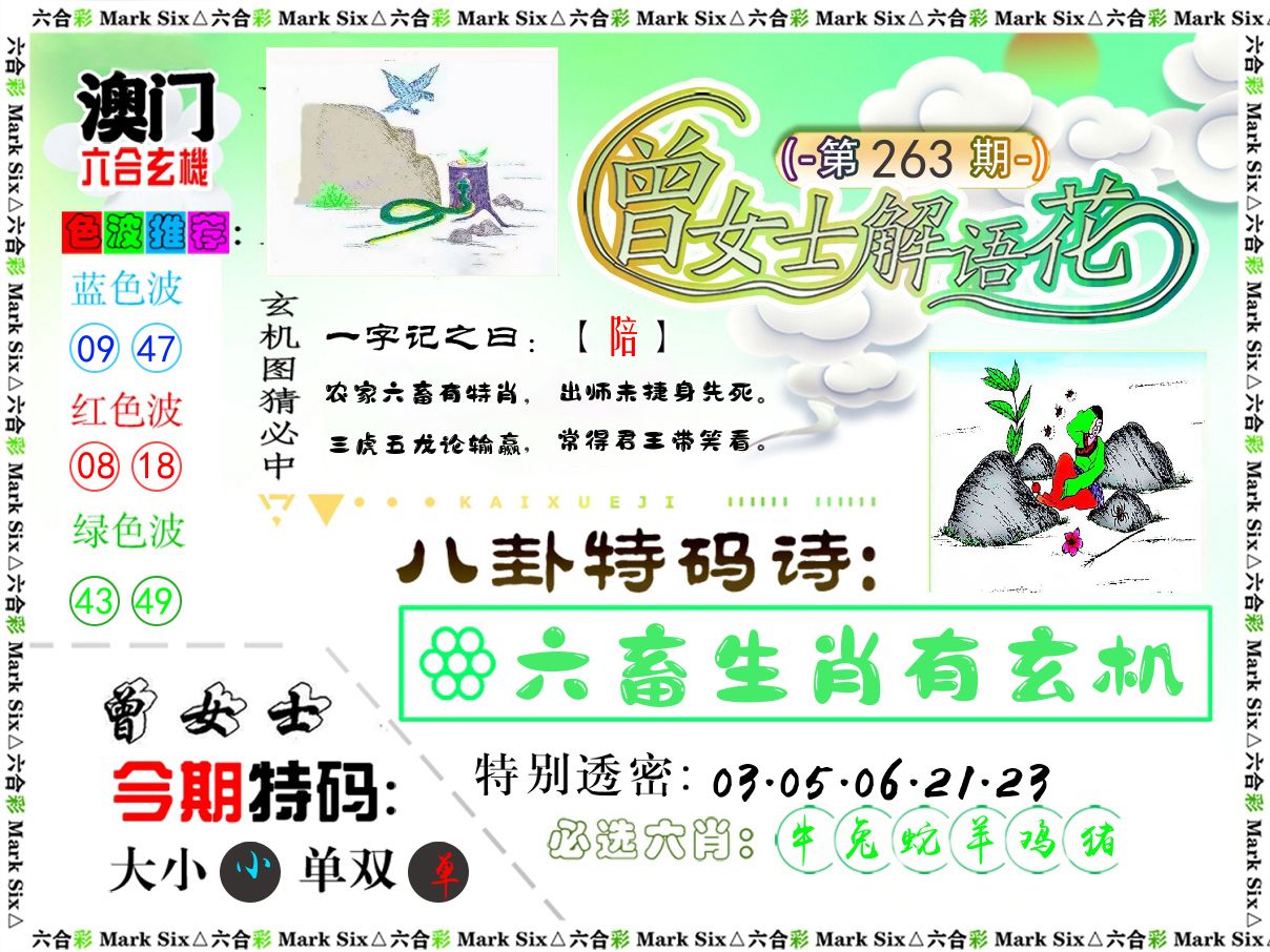 曾女士解语花 第263期
