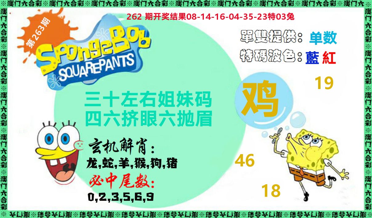新特码玄机 第263期