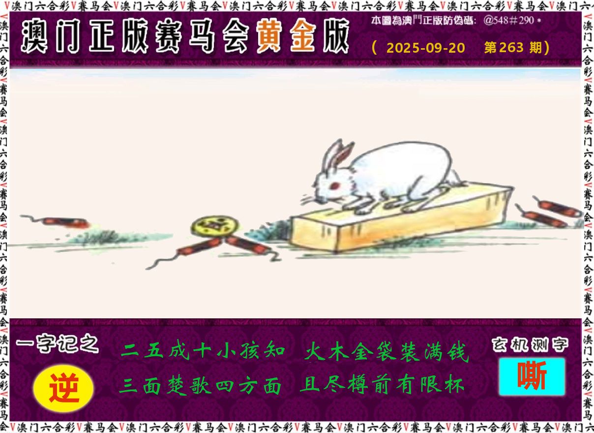 赛马会黄金版 第263期