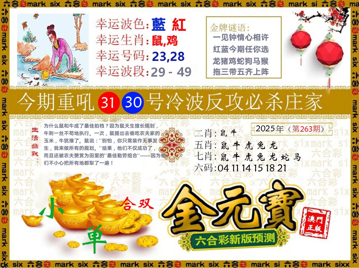 金元宝 第263期
