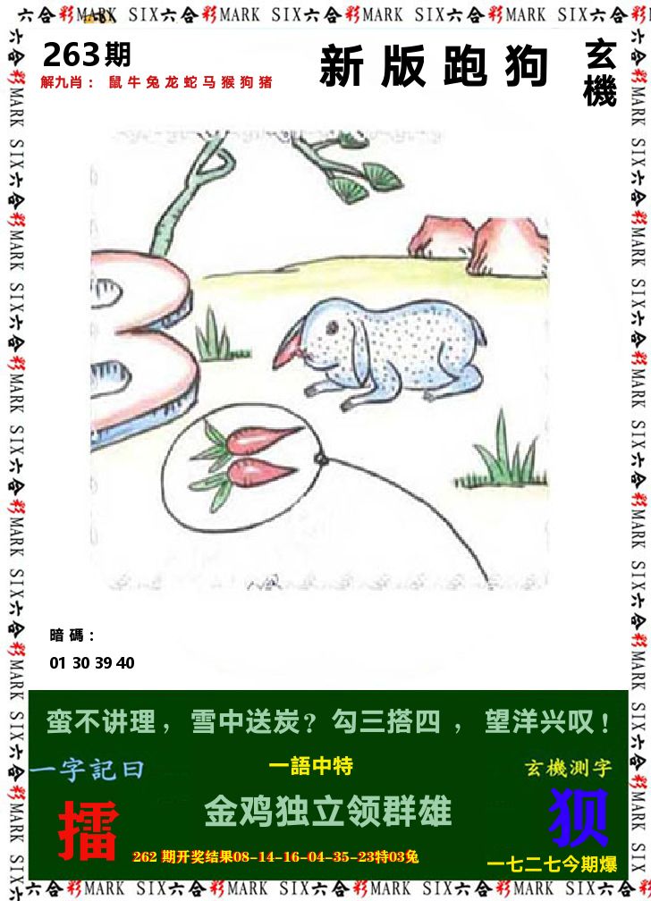 悟入其图 第263期