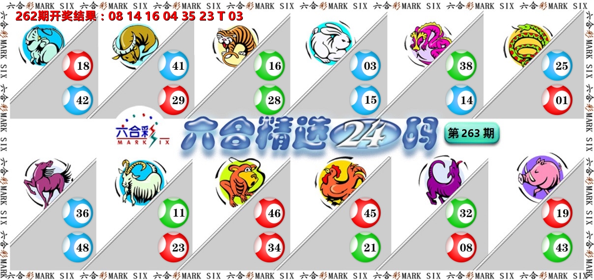 六合精选24码 第263期
