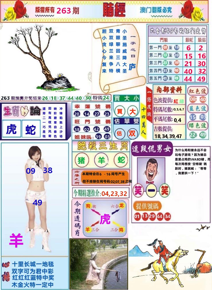 澳门赌经 第263期