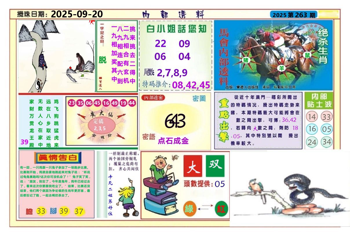 澳门内部透料A 第263期