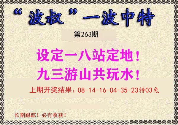 波叔中特 第263期