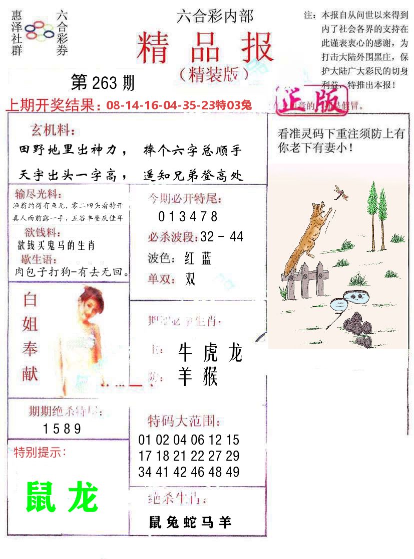 精品报 第263期