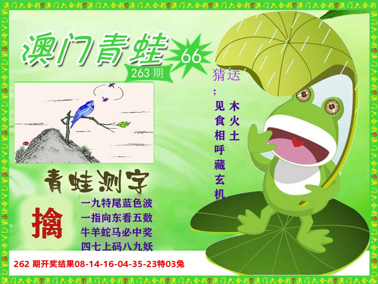 青蛙系列66 第263期