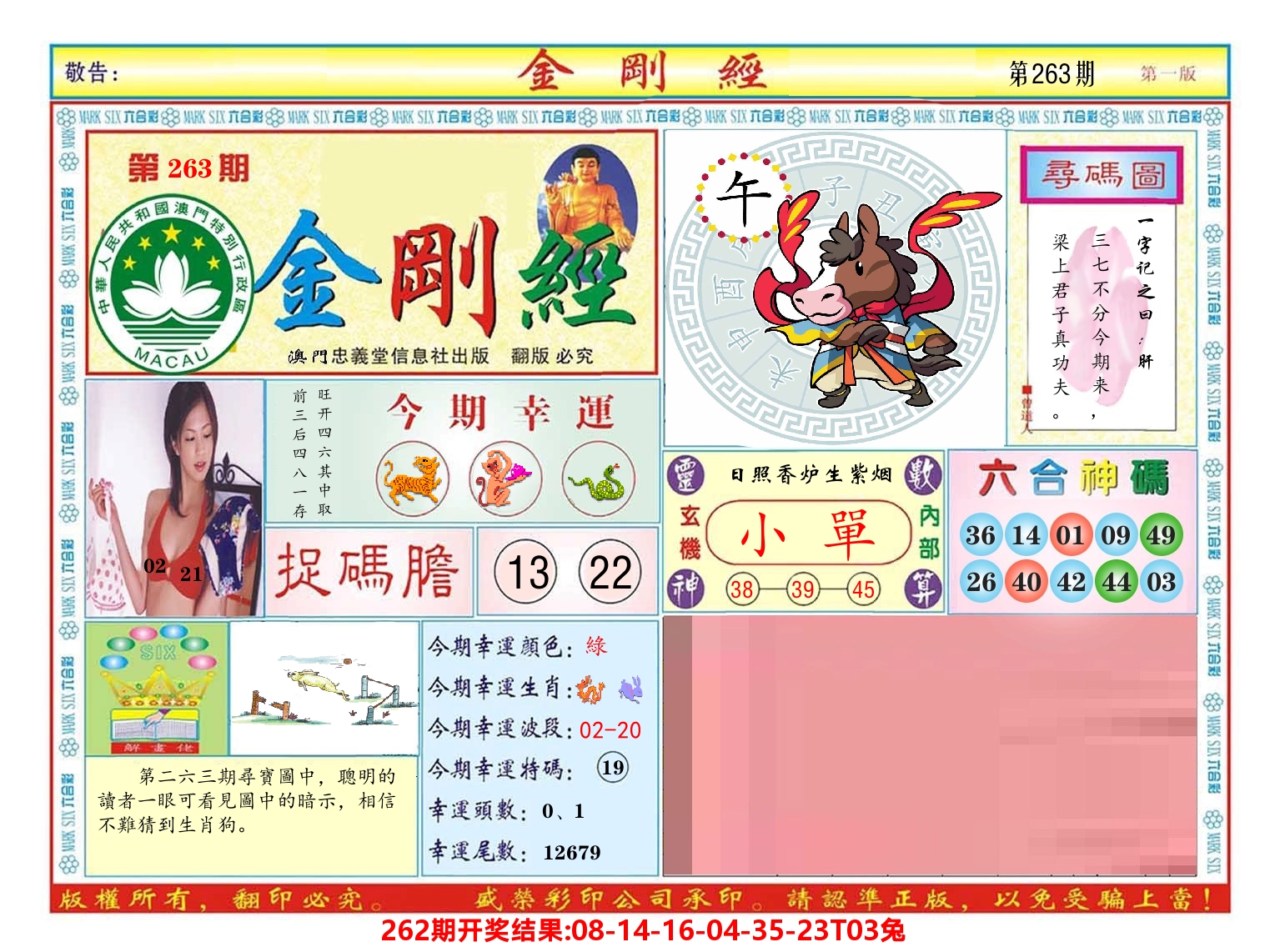 澳门金刚经 第263期
