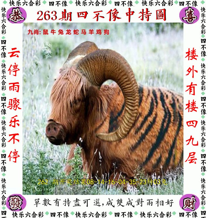 四不像 第263期