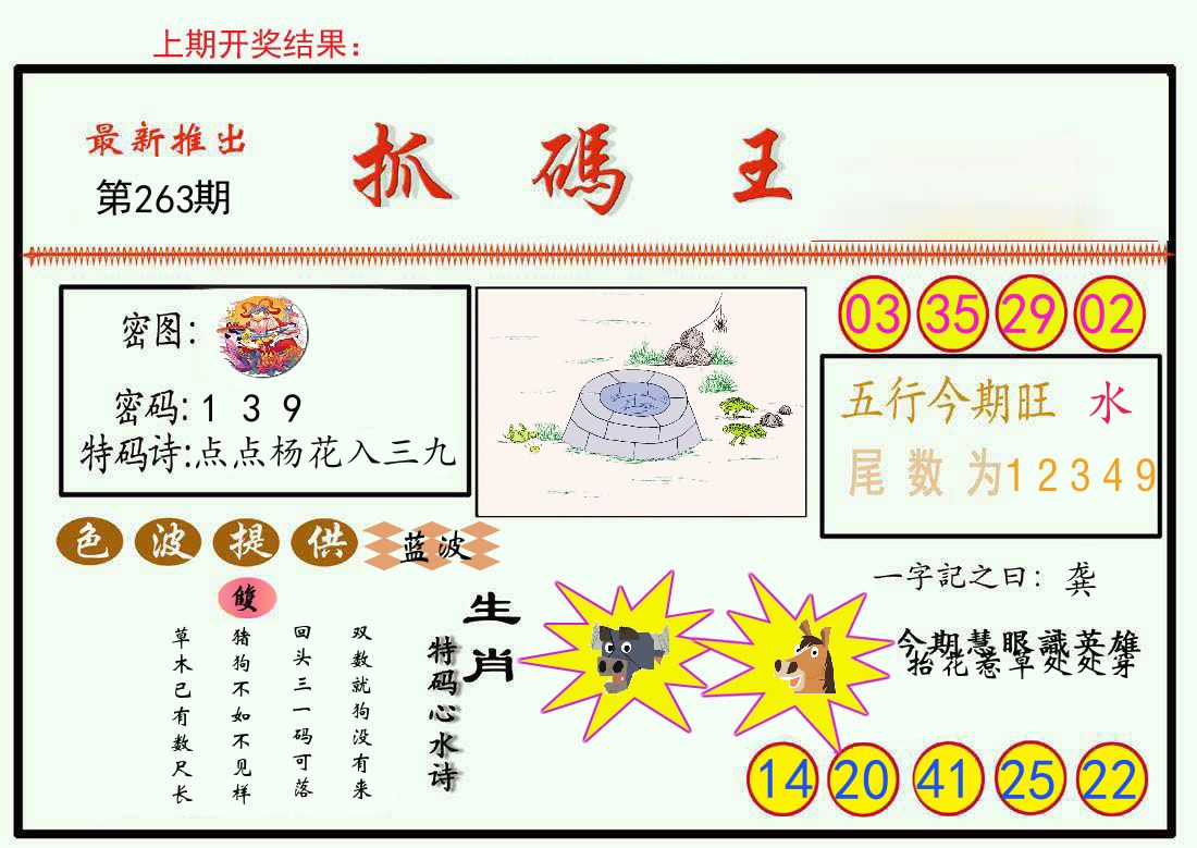 最新抓码王 第263期