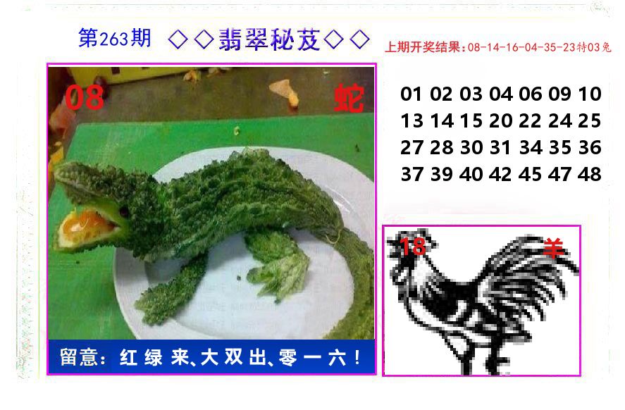 翡翠秘芨 第263期