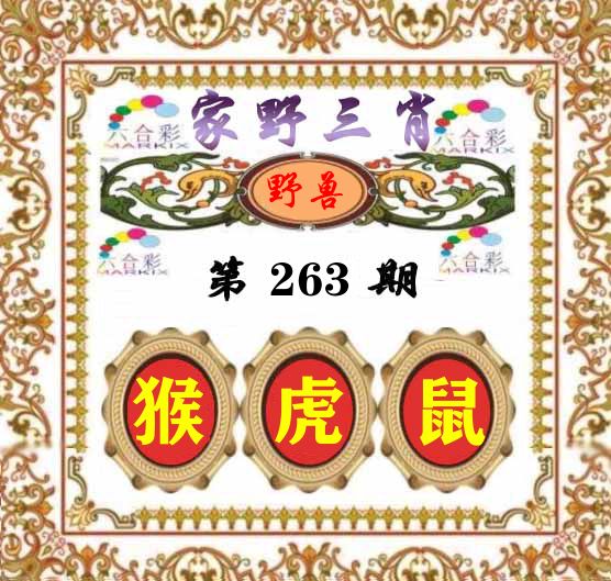家野三肖 第263期