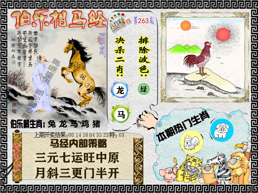 伯乐相马经 第263期