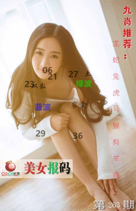 美女报码 第263期