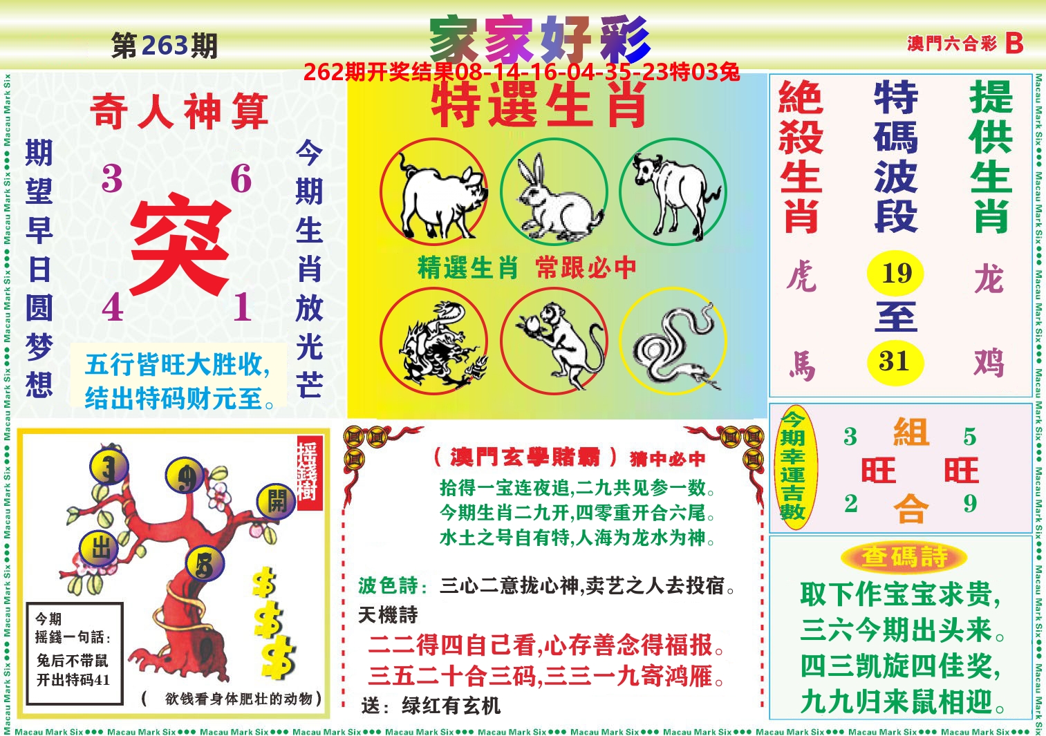 家家好彩B 第263期