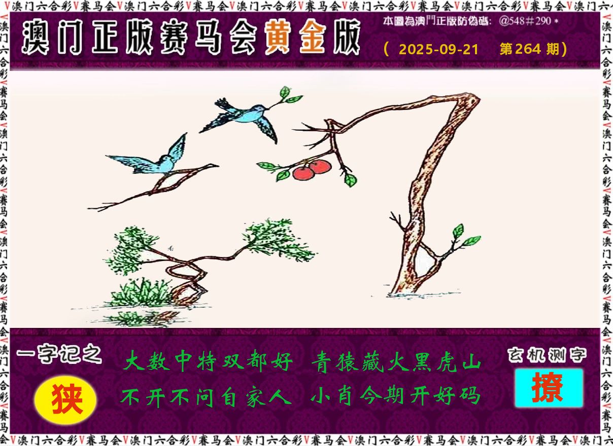 赛马会黄金版 第264期