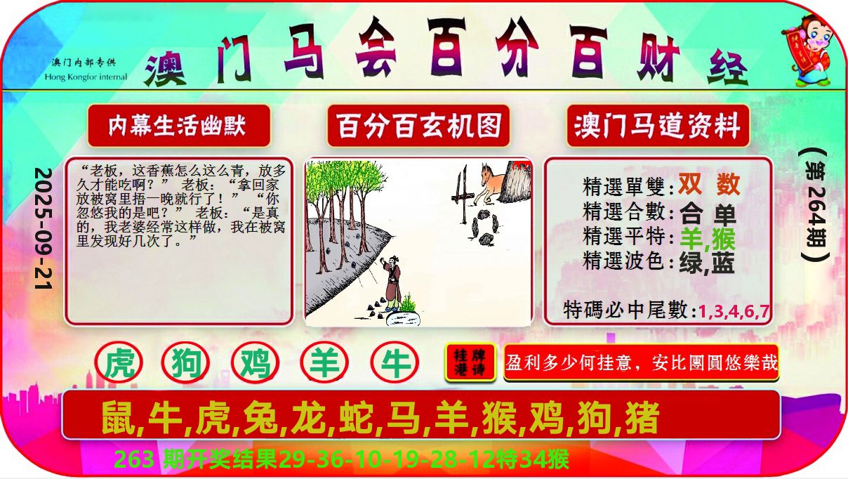 百分百财经 第264期