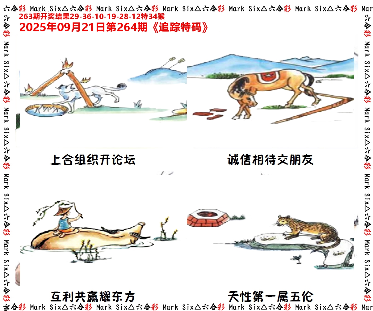 追踪特码 第264期
