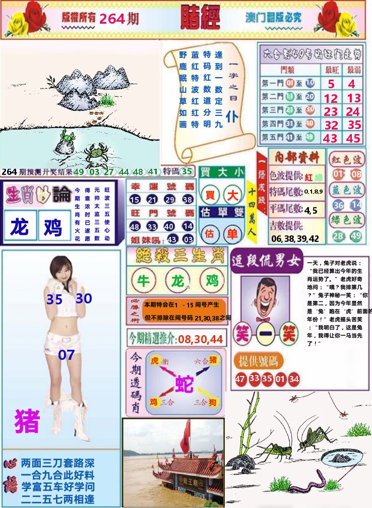 澳门赌经 第264期