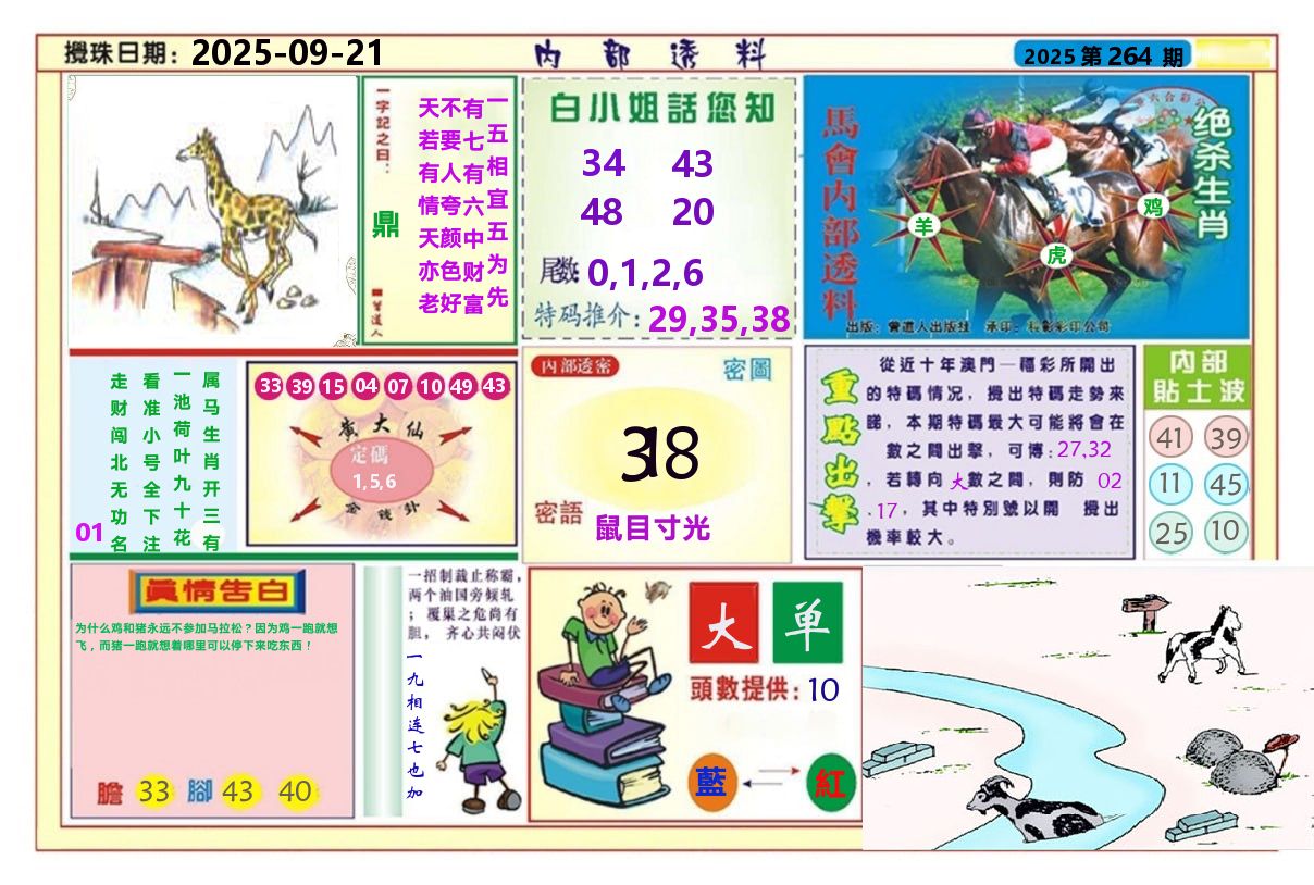 澳门内部透料A 第264期